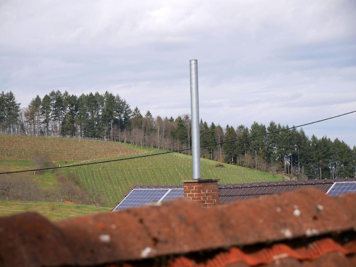 Ferienwohnung Obere Alm Oberkirch  Exteriör bild