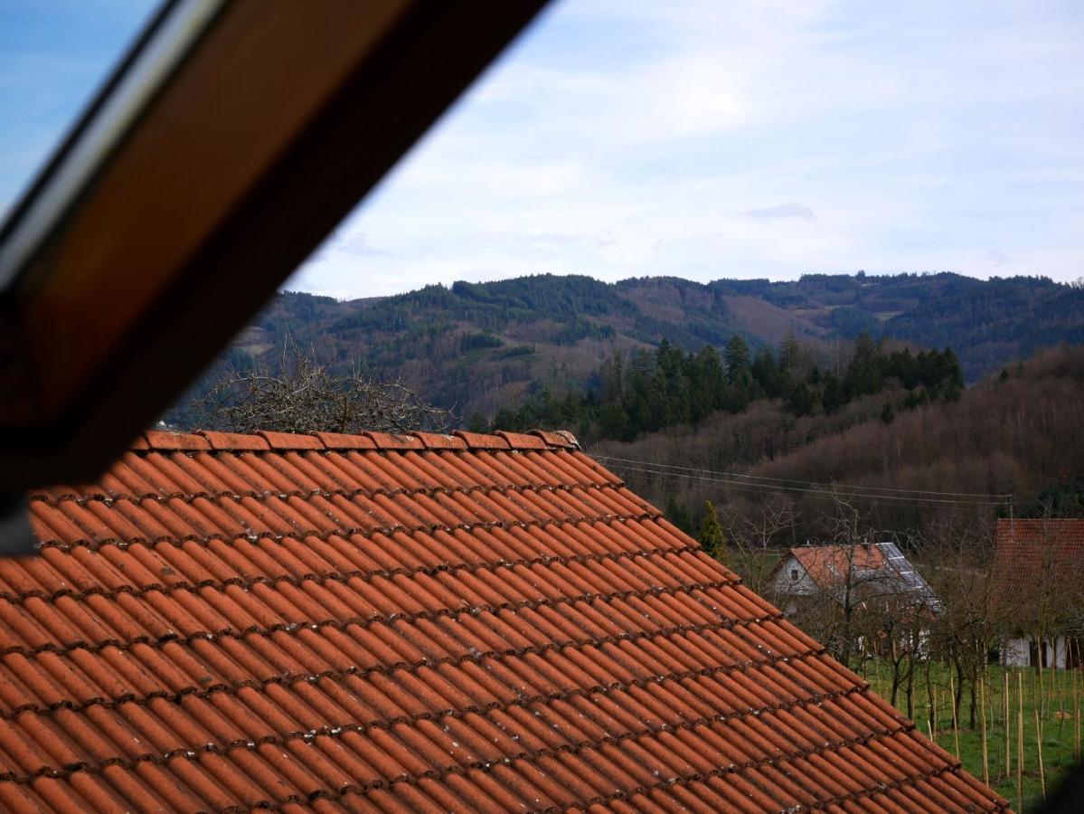 Ferienwohnung Obere Alm Oberkirch  Exteriör bild